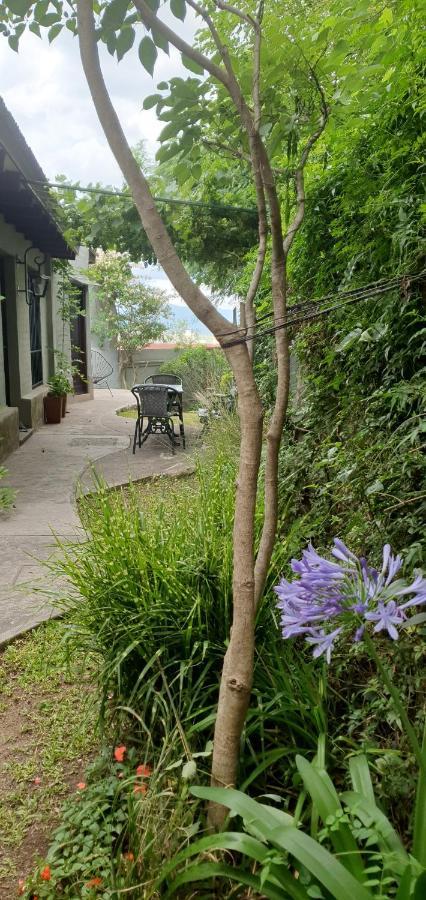 Los Tarcos Guest House San Salvador de Jujuy Luaran gambar
